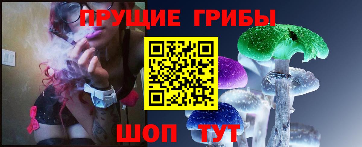Галлюциногенные грибы Magic Shrooms  Псилоцибиновые грибы GOLDEN TEACHER  Тимашёвск  Вход с VPN 