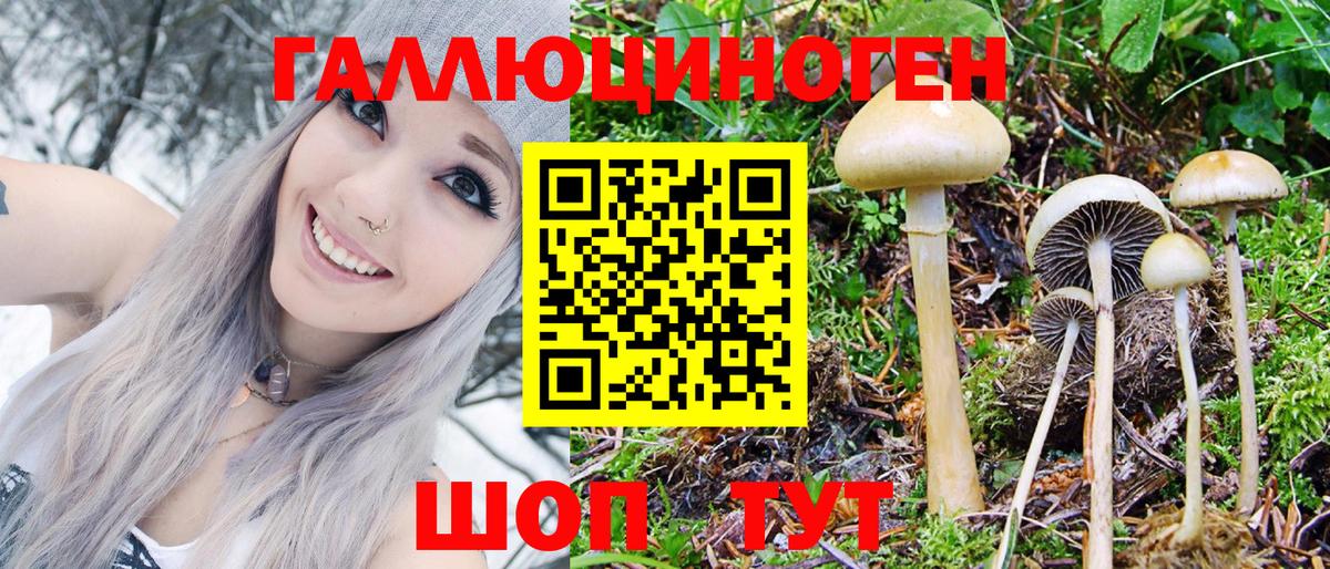 Псилоцибиновые грибы GOLDEN TEACHER Тимашёвск